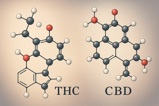 The Natural Choice: Hemp-Derived THC for Safer, Faster, Better Results